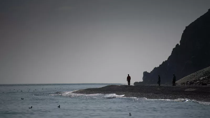 История о китобойном промысле на Чукотке. Владимир Астапоквич, РИА Новости История о китобойном промысле на Чукотке. Владимир Астапоквич, РИА Новости - «Россия сегодня», 800, 24.10.2021